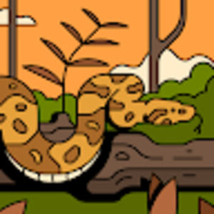 Meet your Posher, Cassie